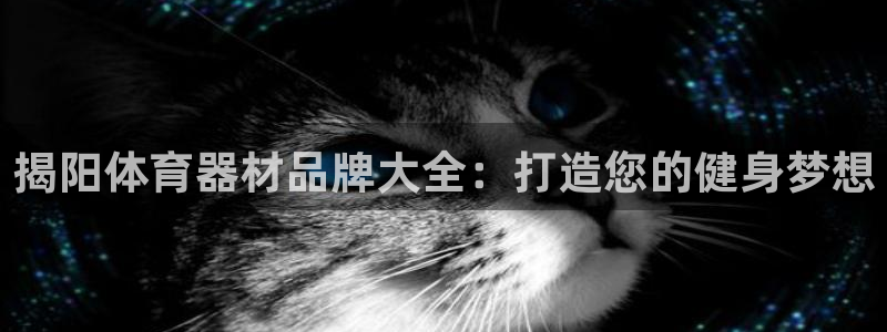富联官网代理系列：揭阳体育器材品牌大全：打造您的健身