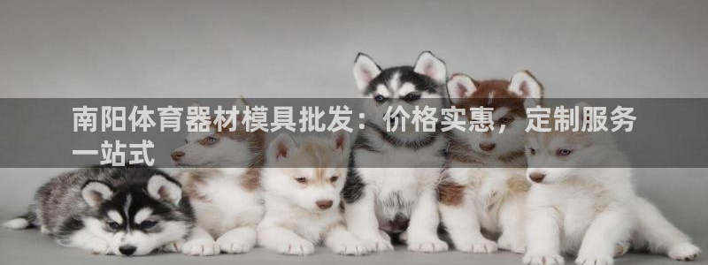 富联集团做什么的：南阳体育器材模具批发：价格实惠，定