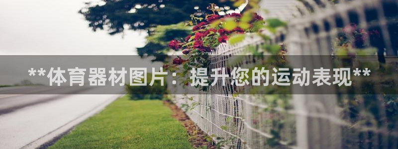 富联申购是什么股票：**体育器材图片：提升您的运动表