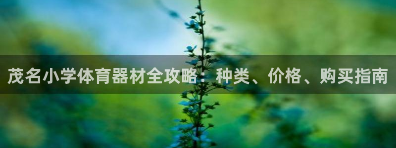 富联官方网站下载安装最新版：茂名小学体育器材全攻略：