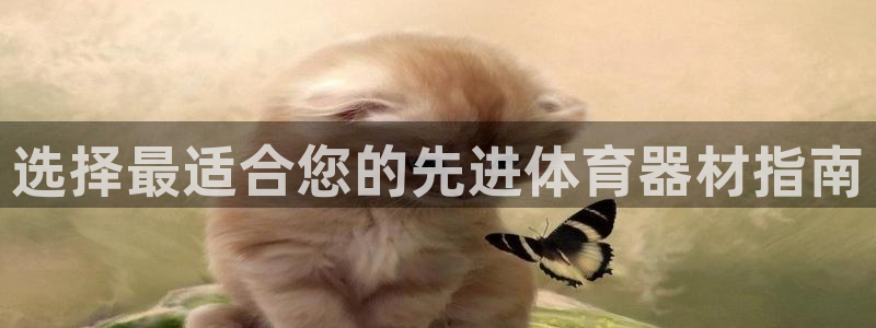 富联官方网站下载安装：选择最适合您的先进体育器材指南