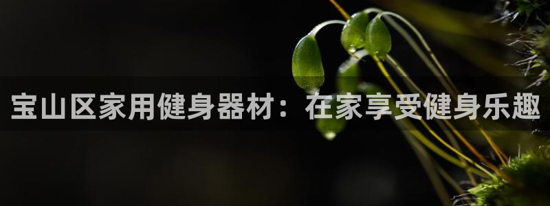 富联娱乐下载官网：宝山区家用健身器材：在家享受健身乐