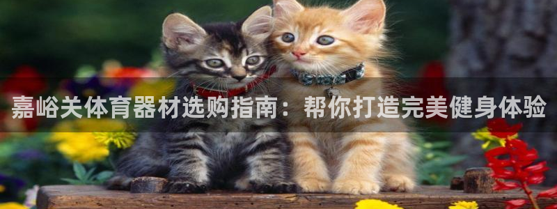 富联娱乐服务站怎么样：嘉峪关体育器材选购指南：帮你打