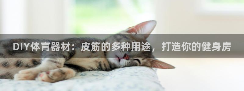 富联娱乐登陆：DIY体育器材：皮筋的多种用途，打造你