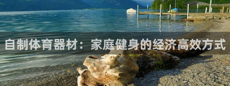 富联平台官网登录不了：自制体育器材：家庭健身的经济高