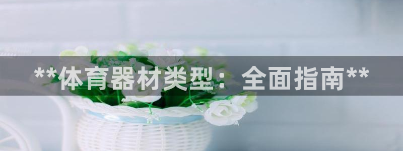 富联娱乐服务站怎么样：**体育器材类型：全面指南**