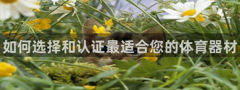 富联娱乐是什么时候开的店：如何选择和认证最适合您的体