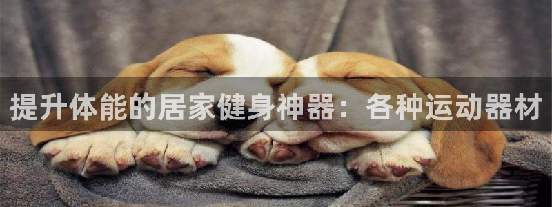 富联申购上市价格预测：提升体能的居家健身神器：各种运