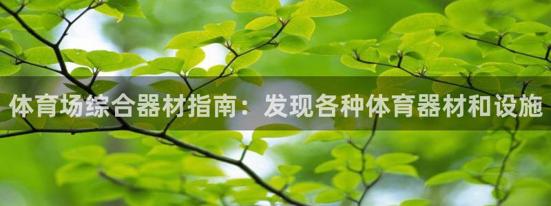 富联娱乐官方网站：体育场综合器材指南：发现各种体育器
