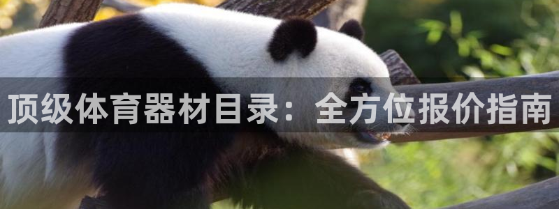 富联股份股票代码：顶级体育器材目录：全方位报价指南