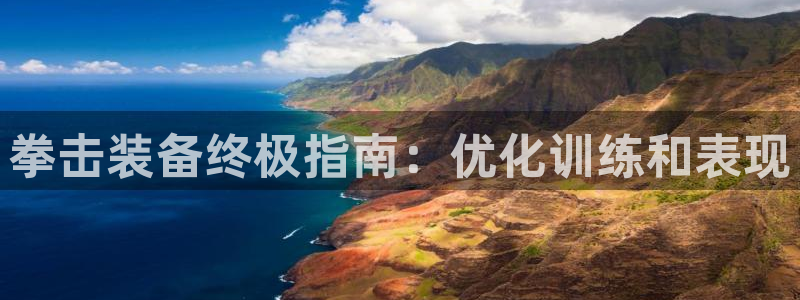 富联展示中心：拳击装备终极指南：优化训练和表现