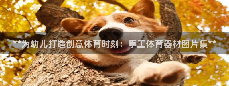 富联官方网站入口网址：**为幼儿打造创意体育时刻：手