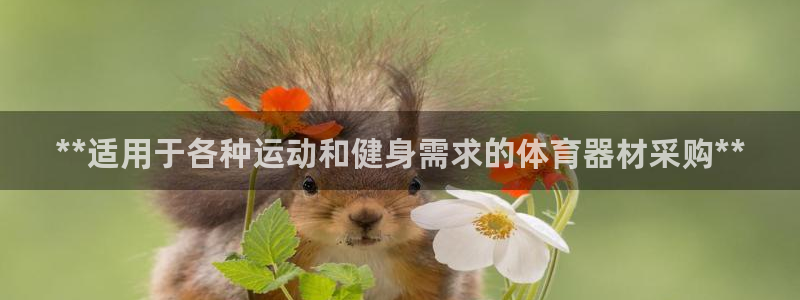 富联官网注册：**适用于各种运动和健身需求的体育器材