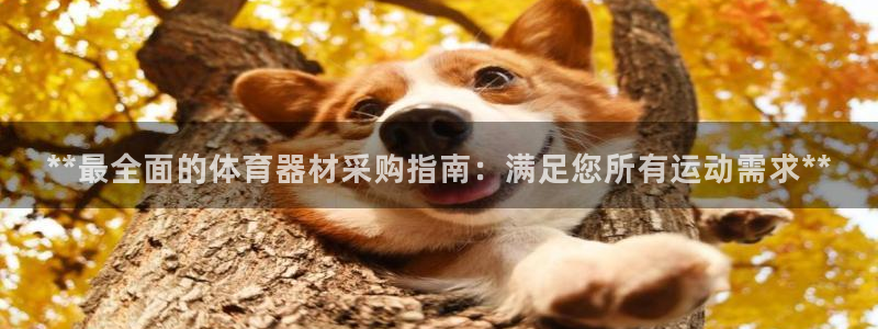 富联平台微信：**最全面的体育器材采购指南：满足您所