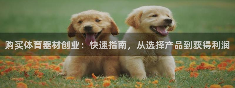 富联娱乐访问中国网站：购买体育器材创业：快速指南，从