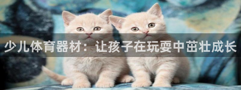 富联平台微信怎么提现：少儿体育器材：让孩子在玩耍中茁
