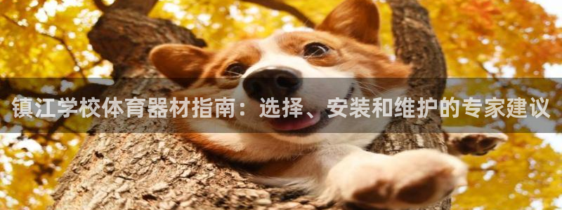 富联官网注册不了账号：镇江学校体育器材指南：选择、安