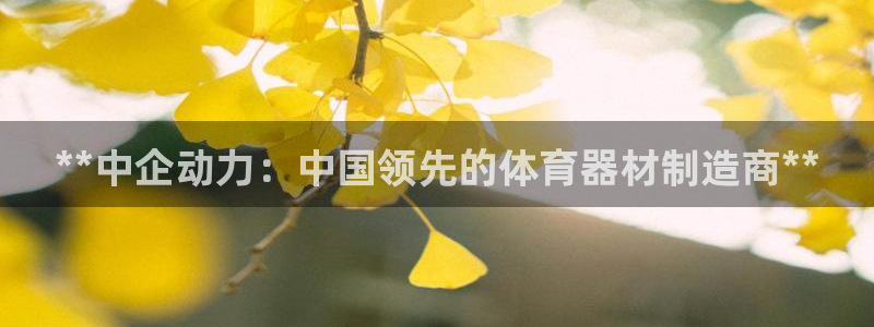 富联娱乐服务站怎么样：**中企动力：中国领先的体育器