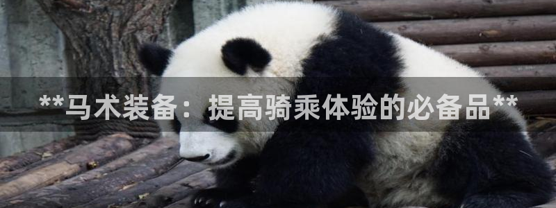 富联平台登录入口官网：**马术装备：提高骑乘体验的必