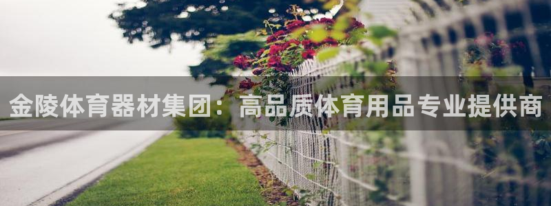 富联申购什么时间上市：金陵体育器材集团：高品质体育用