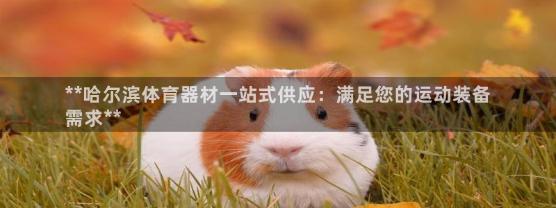 富联平台用户登陆不上：**哈尔滨体育器材一站式供应：