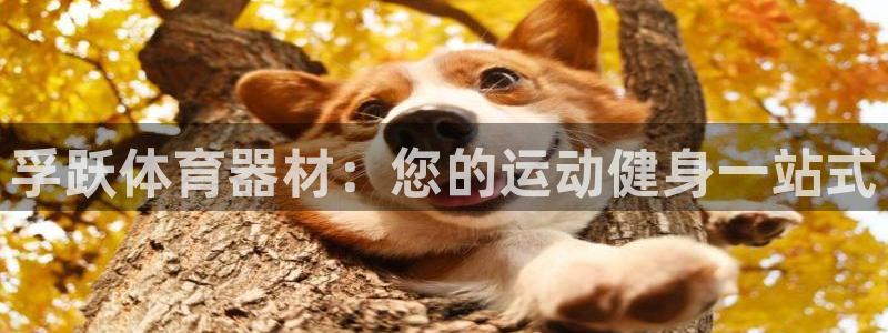 富联娱乐平台开户条件是什么：孚跃体育器材：您的运动健