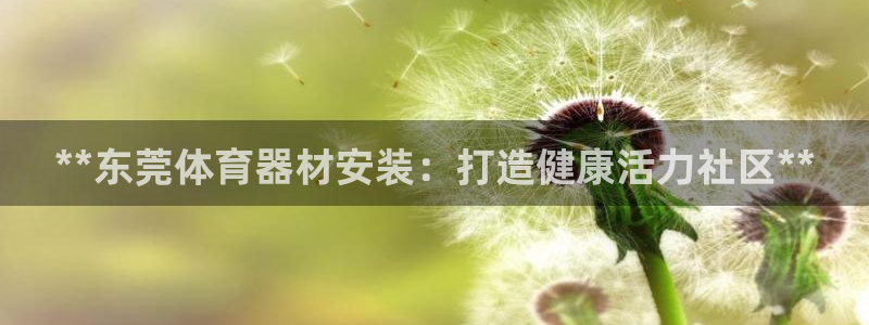 富联娱乐律7O777：**东莞体育器材安装：打造健康
