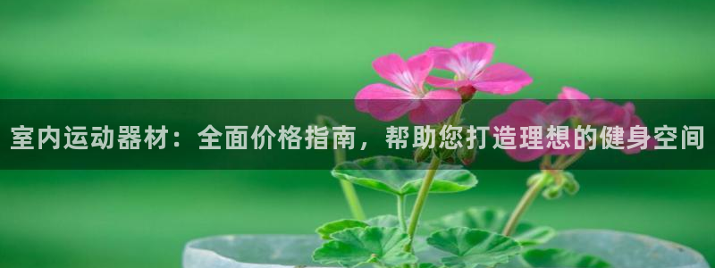富联平台挂机：室内运动器材：全面价格指南，帮助您打造