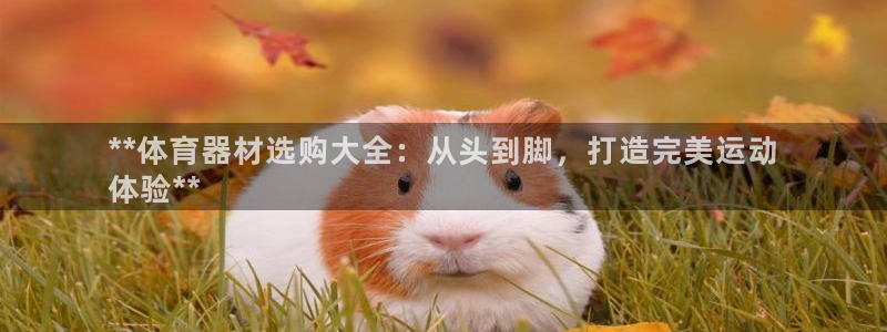 富联娱乐股东构成：**体育器材选购大全：从头到脚，打