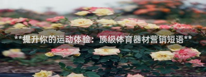 富联平台认可 585.34I 富联：**提升你的运动