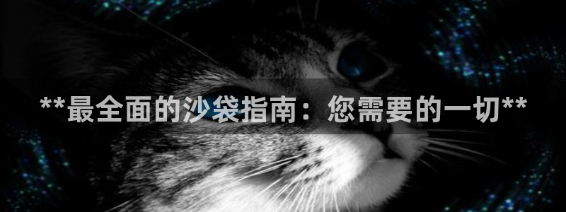 富联娱乐股东结构：**最全面的沙袋指南：您需要的一切