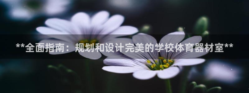 富联官网授权店铺：**全面指南：规划和设计完美的学校