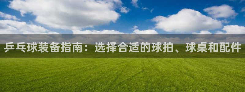富联官网注册不了账号吗：乒乓球装备指南：选择合适的球