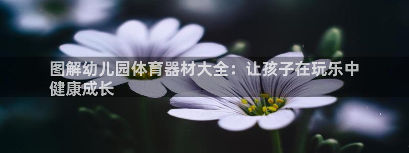 富联机器人产业研发基地：图解幼儿园体育器材大全：让孩