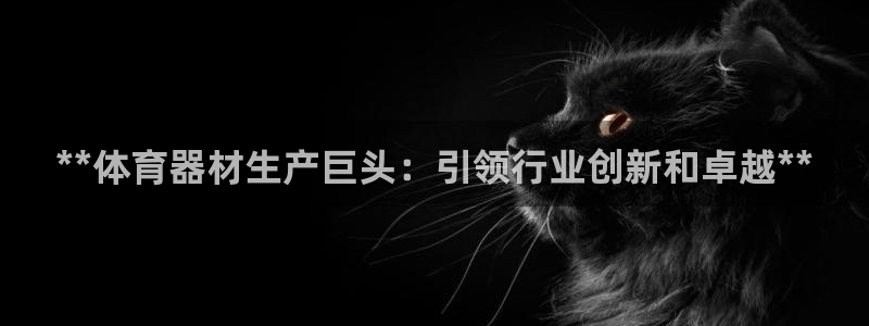 富联申购上市价格预测最新：**体育器材生产巨头：引领