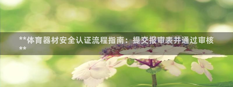 富联娱乐官方网站首页入口：**体育器材安全认证流程指