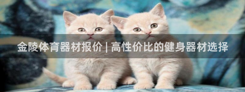 富联官网登陆网址：金陵体育器材报价 | 高性价比的健