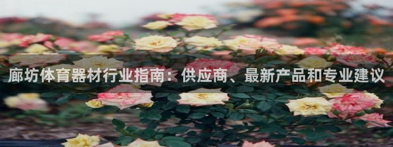 富联平台是什么：廊坊体育器材行业指南：供应商、最新产