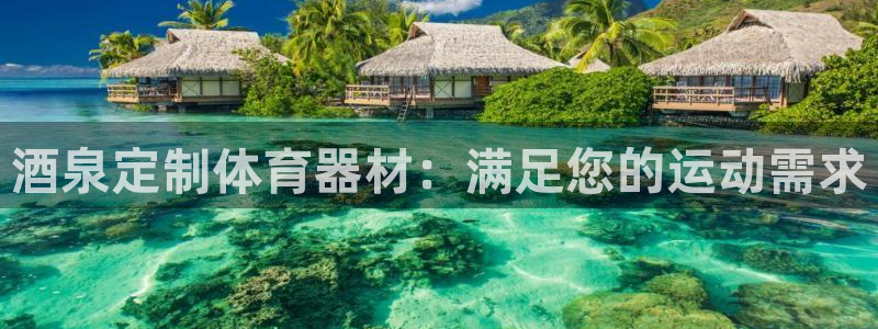 富联平台安装：酒泉定制体育器材：满足您的运动需求