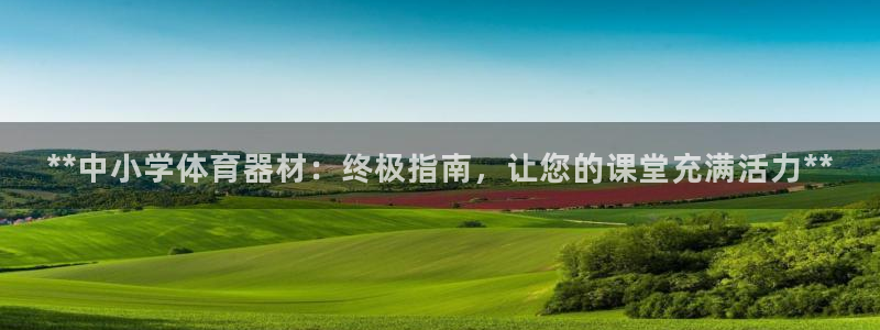 富联娱乐：**中小学体育器材：终极指南，让您的课堂充