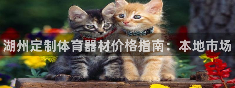 富联平台登录：湖州定制体育器材价格指南：本地市场