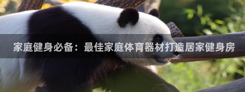 富联官网代理系列产品： 家庭健身必备：最佳家庭体育器