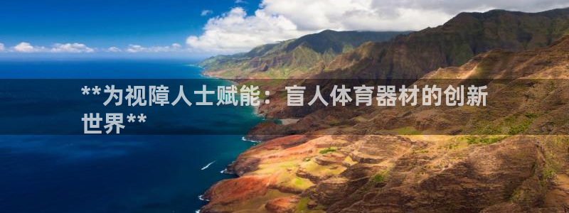 富联科技上市了吗最近：**为视障人士赋能：盲人体育器