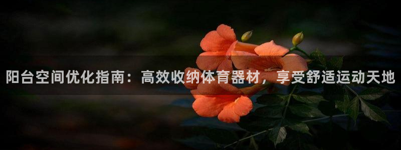 富联平台目 411O31 富联：阳台空间优化指南：高