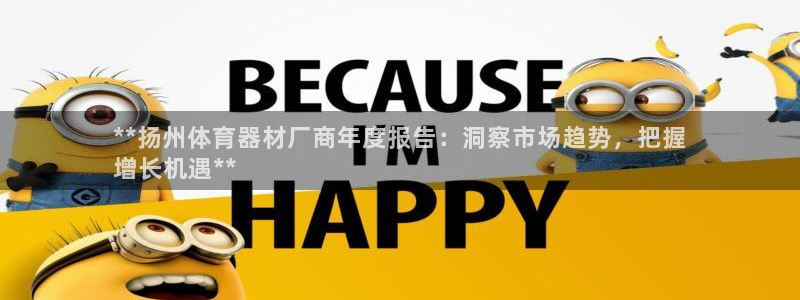 富联娱乐股东构成：**扬州体育器材厂商年度报告：洞察