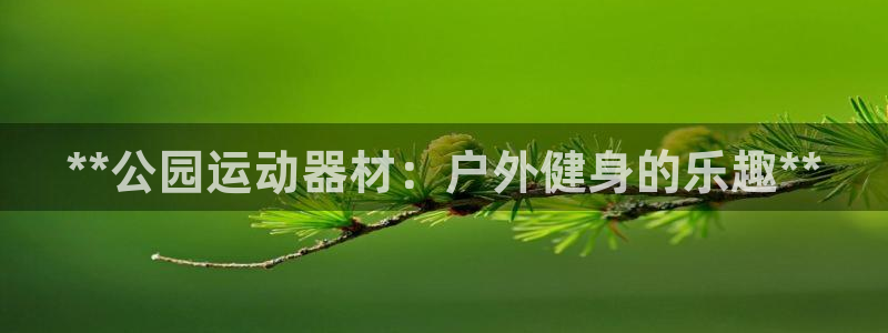 富联平台主管代理：**公园运动器材：户外健身的乐趣*