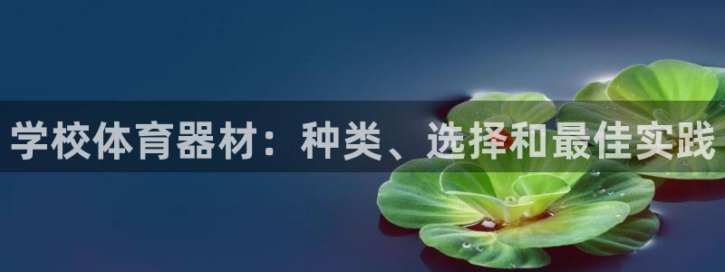 富联娱乐股东构成：学校体育器材：种类、选择和最佳实践