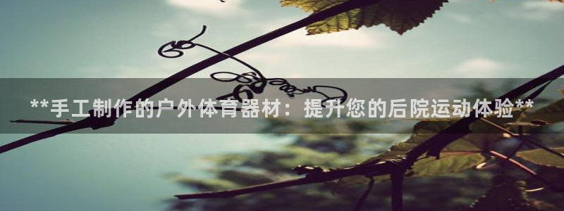 富联娱乐平台开户条件要求：**手工制作的户外体育器材