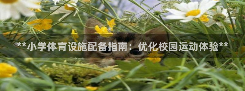 富联平台微信怎么注销：**小学体育设施配备指南：优化