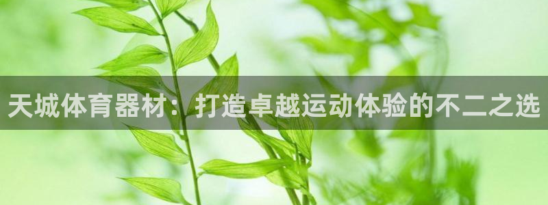 富联平台荐 585341：天城体育器材：打造卓越运动